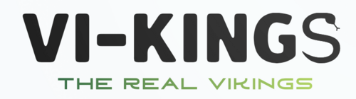 Logo of Vi-Kings